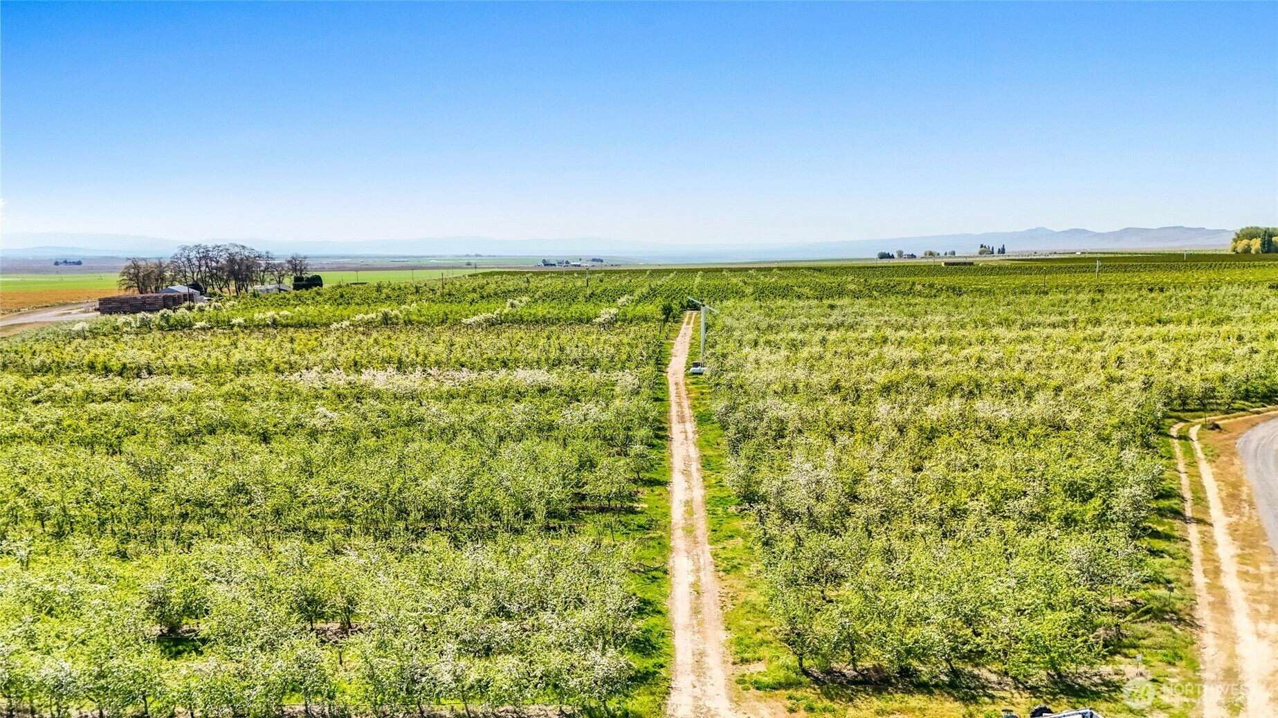 4810  Rangeview Road  Othello WA 99344 photo
