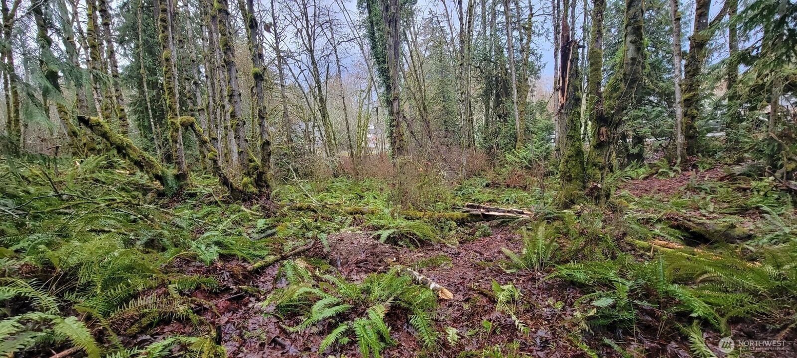 Property Photo:  0  Nevada Ave & Michigan Street  WA 98353 