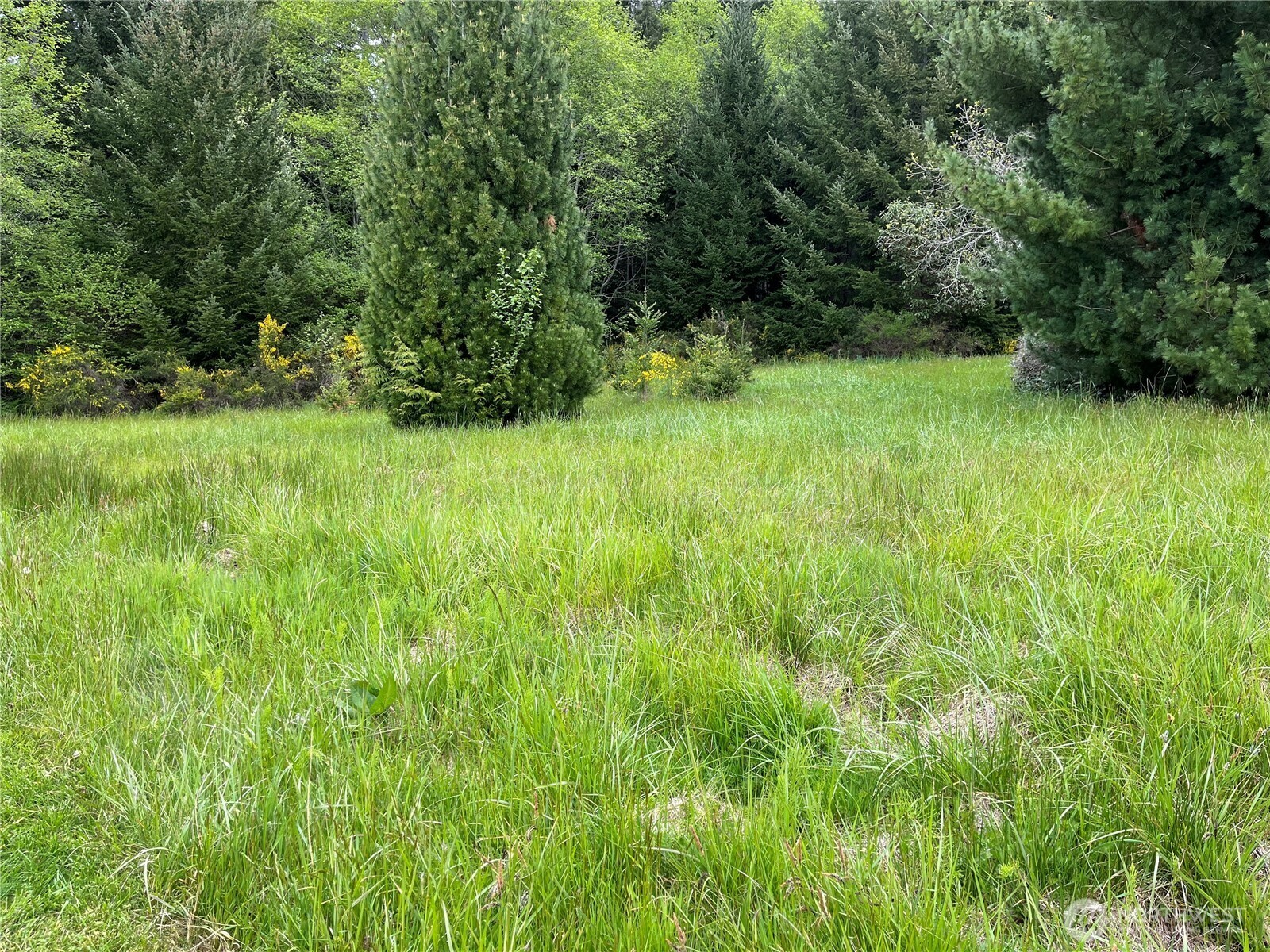 Property Photo: 0 Xxxx SE 224th Street WA 98042
