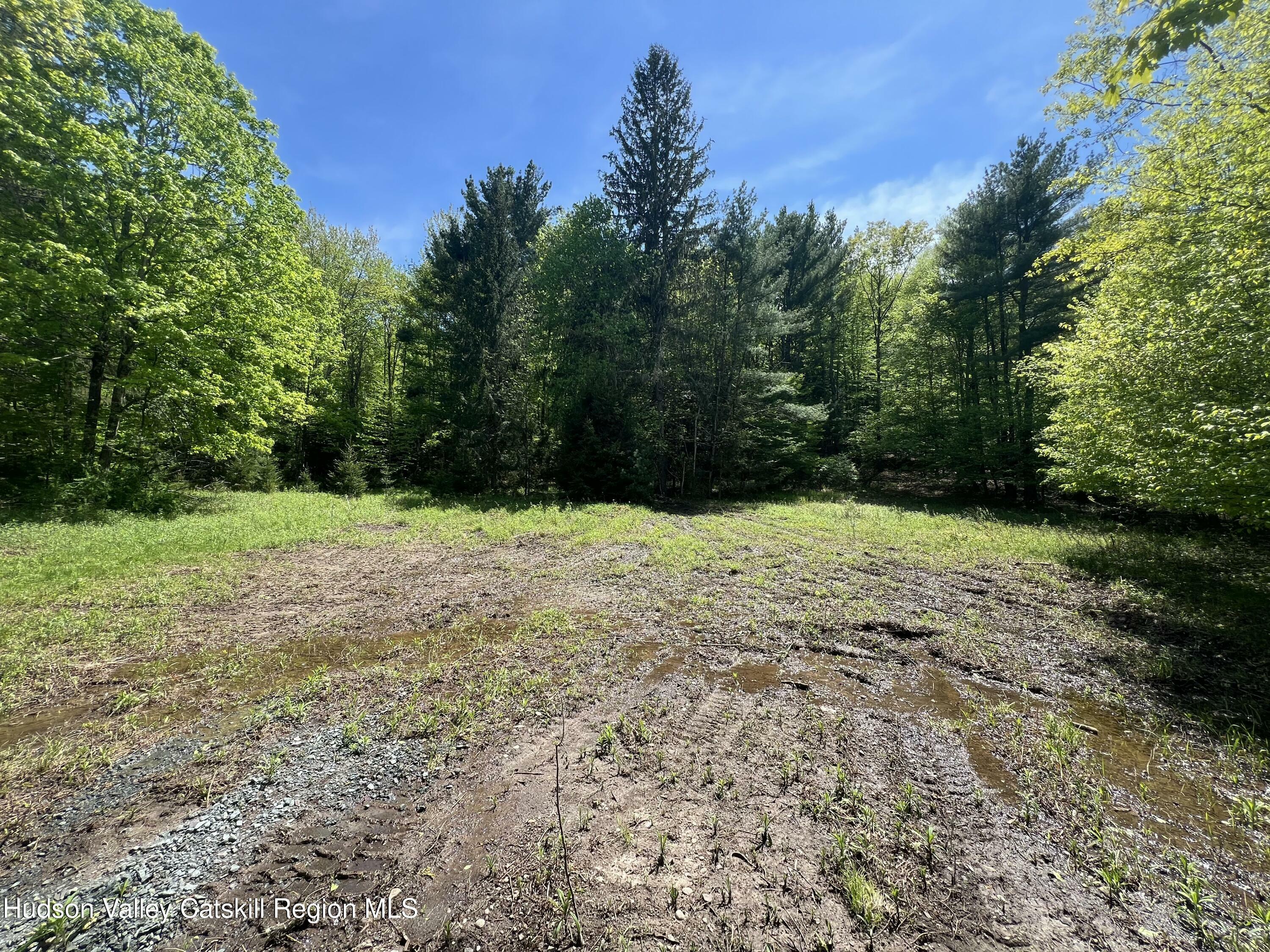 Property Photo: 44 Oak Ridge NY 12435