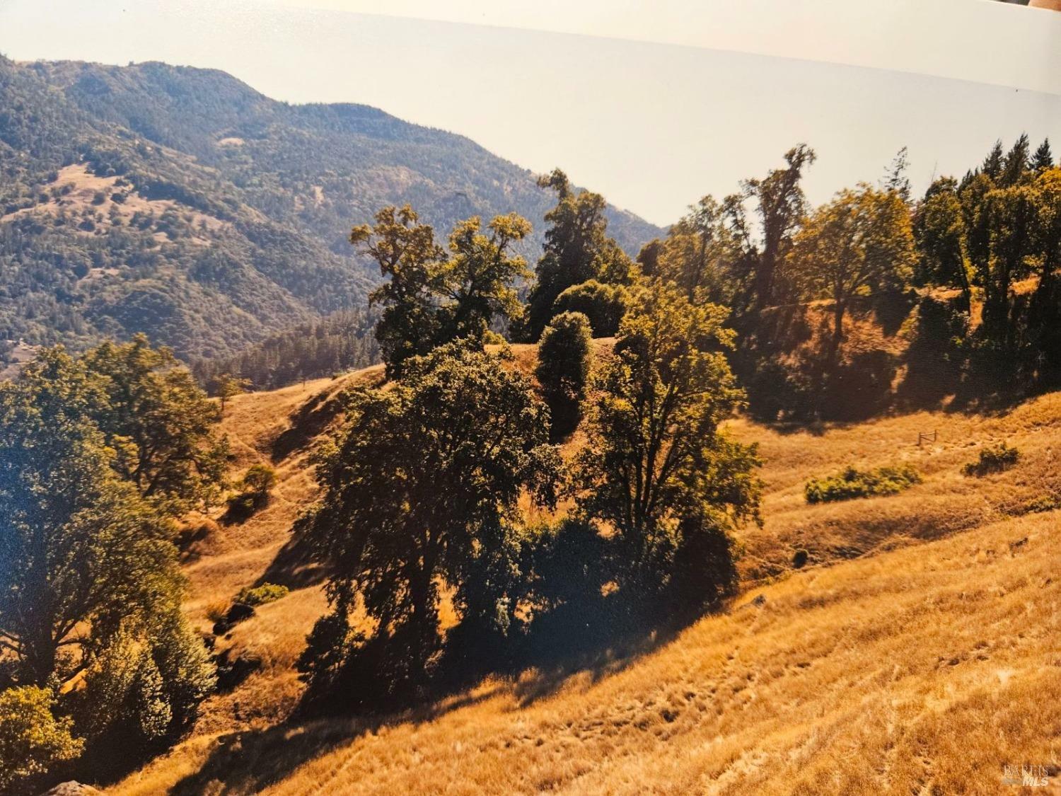 Property Photo: 51211 Dunham Road CA 95587