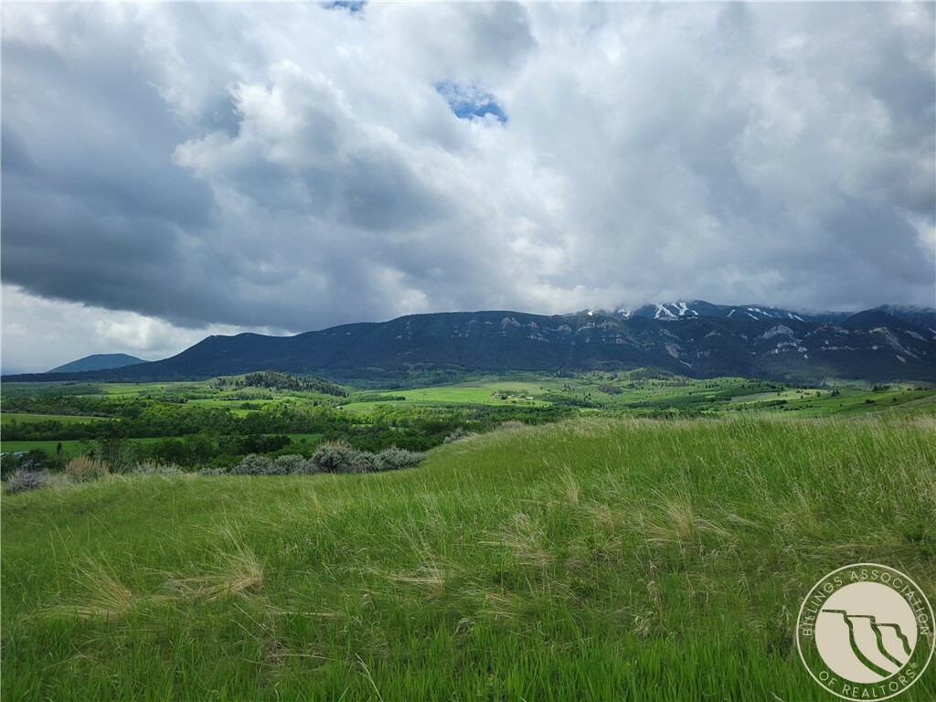 447 Highway 78, Aka Lot 2 Whitetail Lane  Red Lodge MT 59068 photo