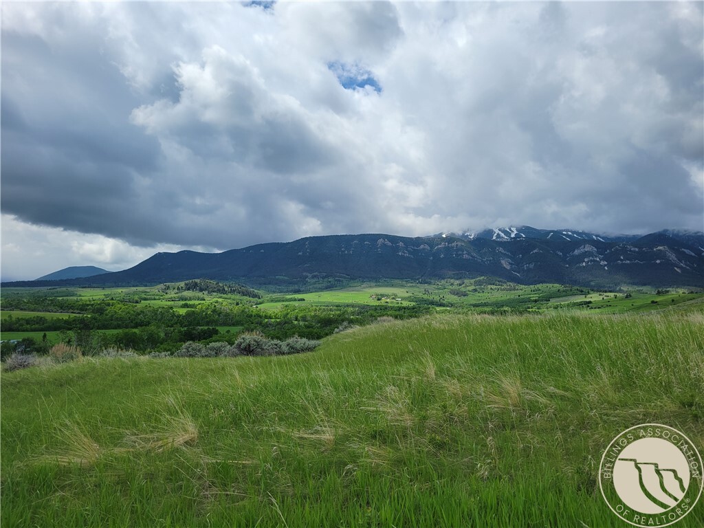 Property Photo: 447 Highway 78, Aka Lot 2 Whitetail Lane MT 59068