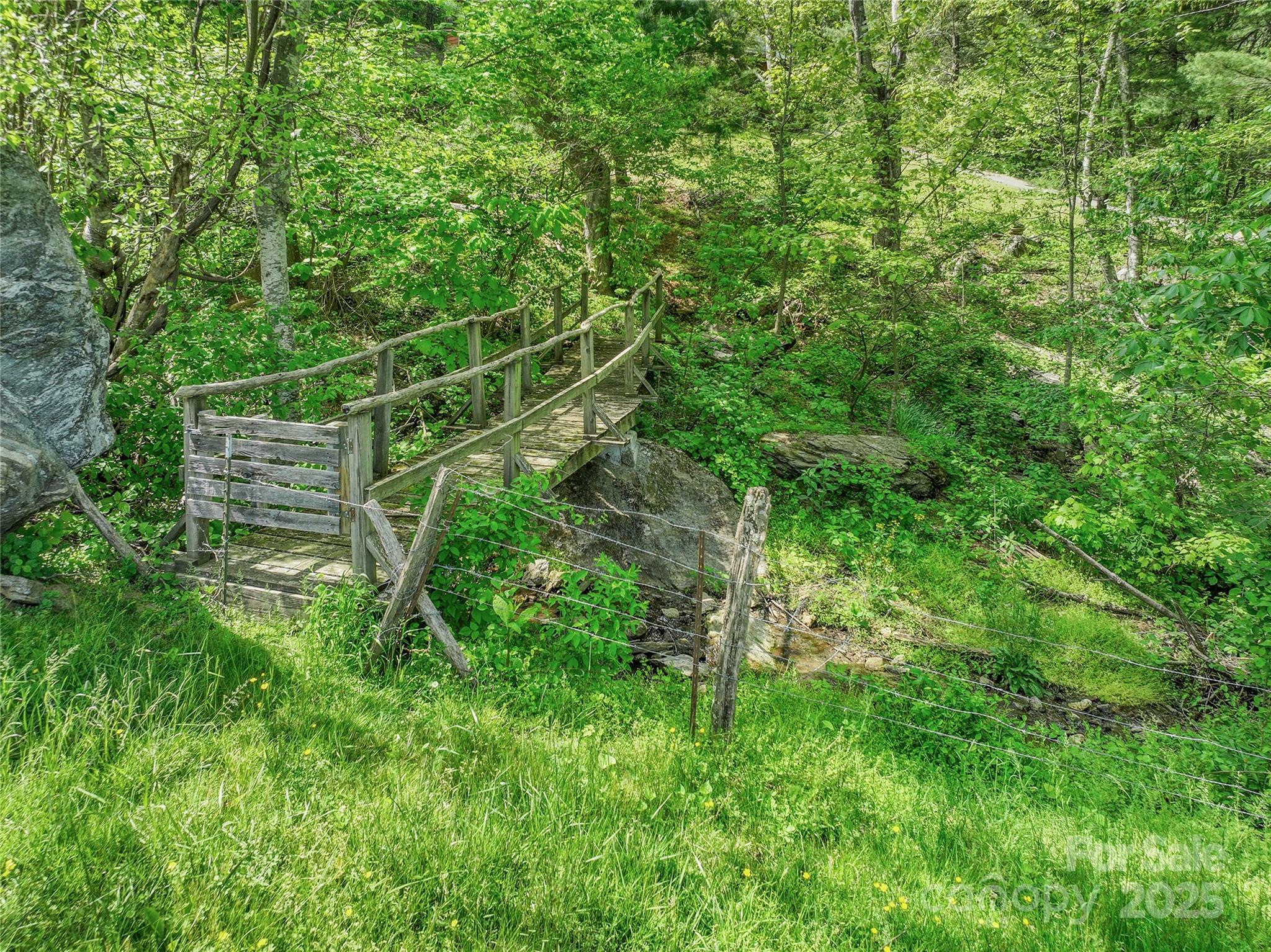 Property Photo: 315 Morgan Branch Road NC 28748