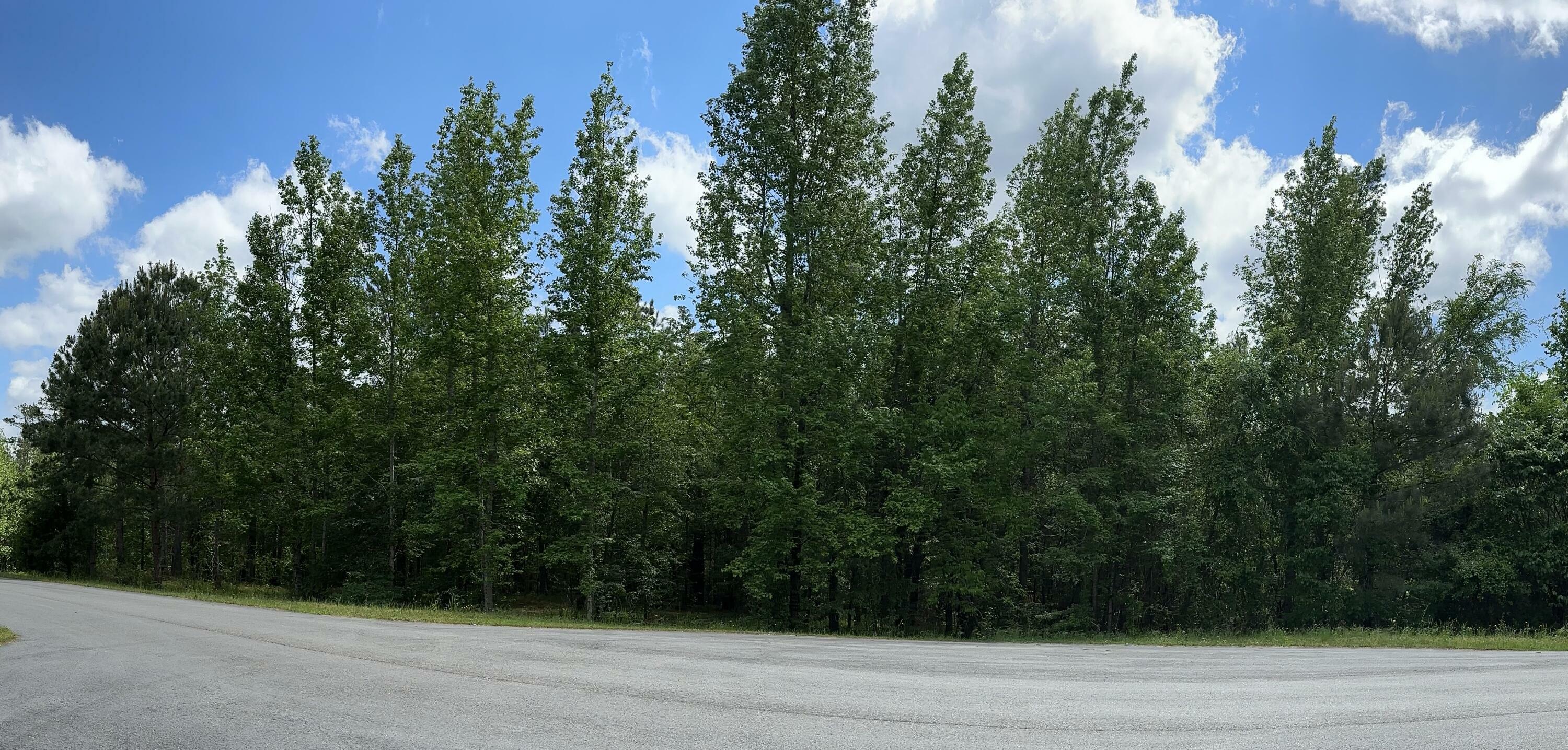 Property Photo: 1403 Dunwoody Place GA 30802