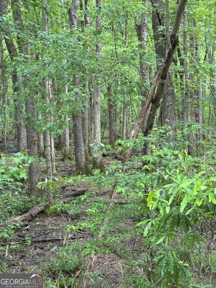 Property Photo: 0 Friendship Church Road SW GA 30064