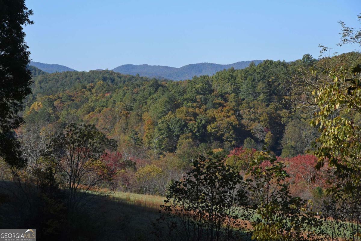 Property Photo: 160 Mountain Field Drive GA 30572