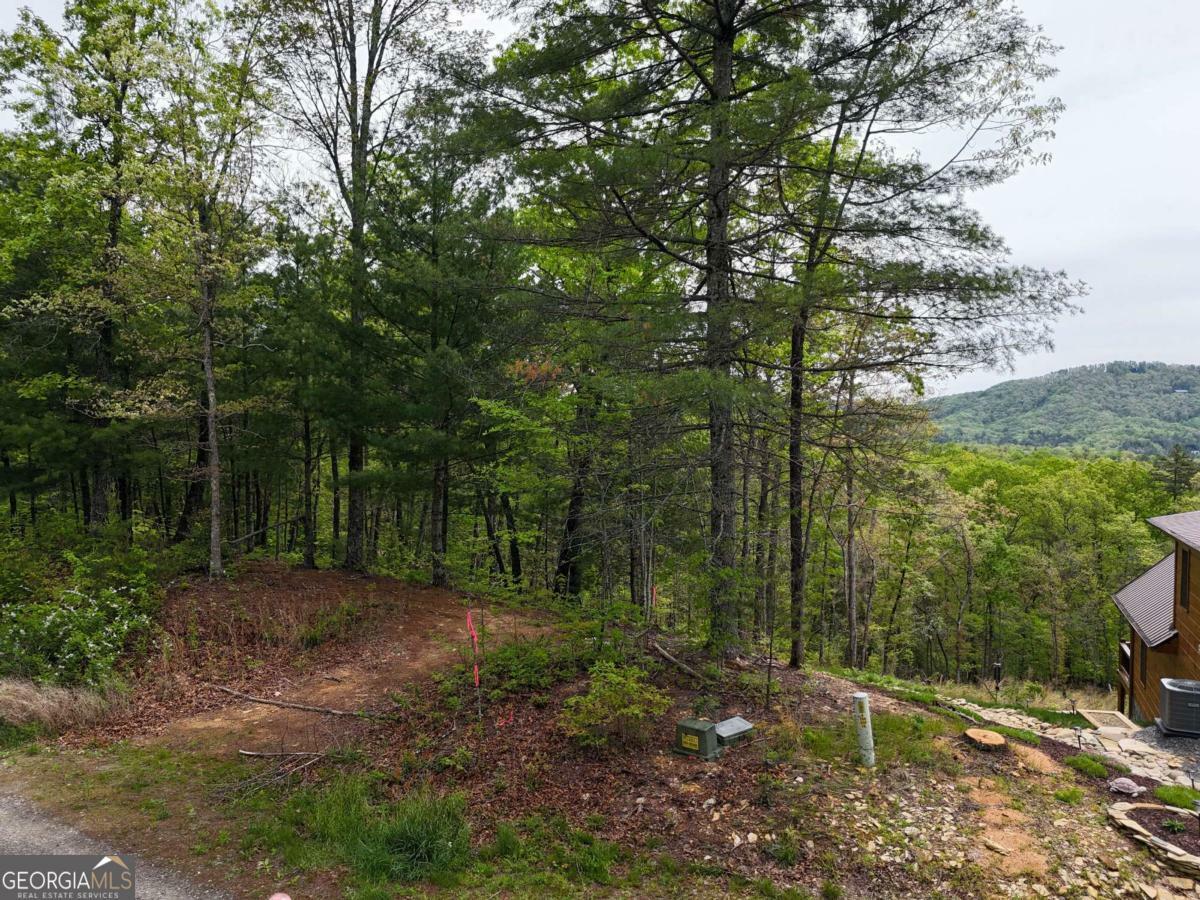 Property Photo: Lot 20 Crabapple Lane GA 30559