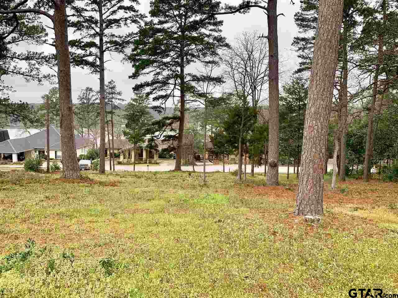 Property Photo: 425 Hideaway Lane Central TX 75771