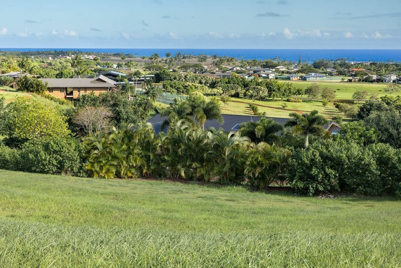 Property Photo: 69 Ka Hookui Pl HI 96756