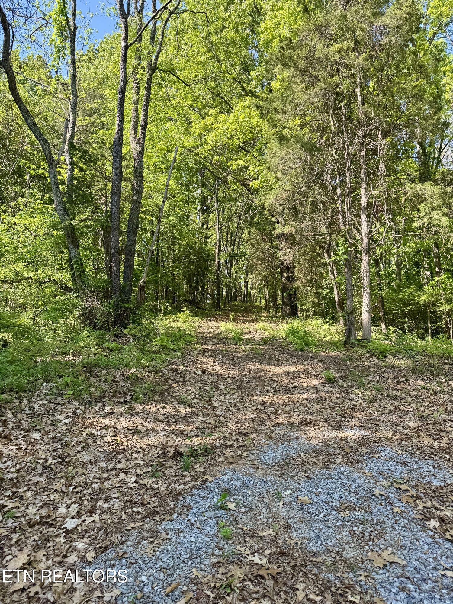 Property Photo: Carroll Rd TN 37813