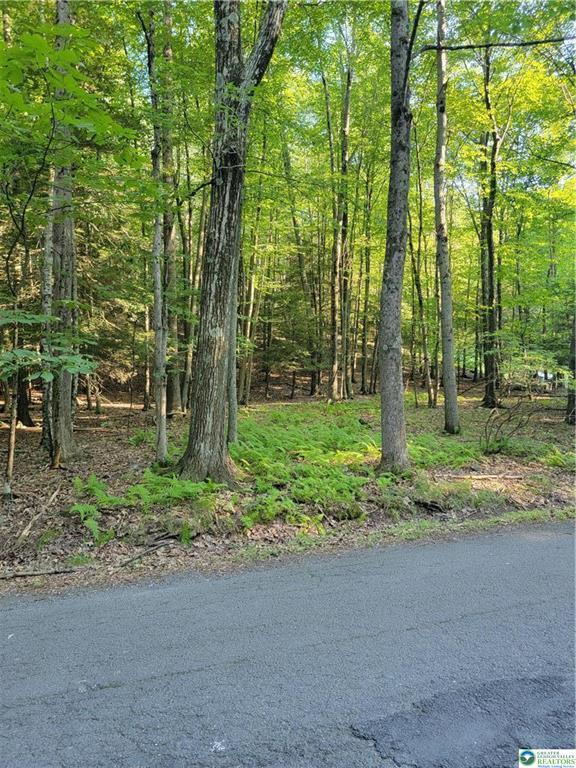Property Photo: 157 Pine Tree Drive 306 PA 18326