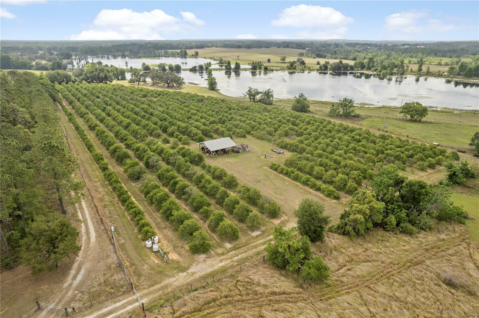 Property Photo: 0 Barry Rd FL 33523