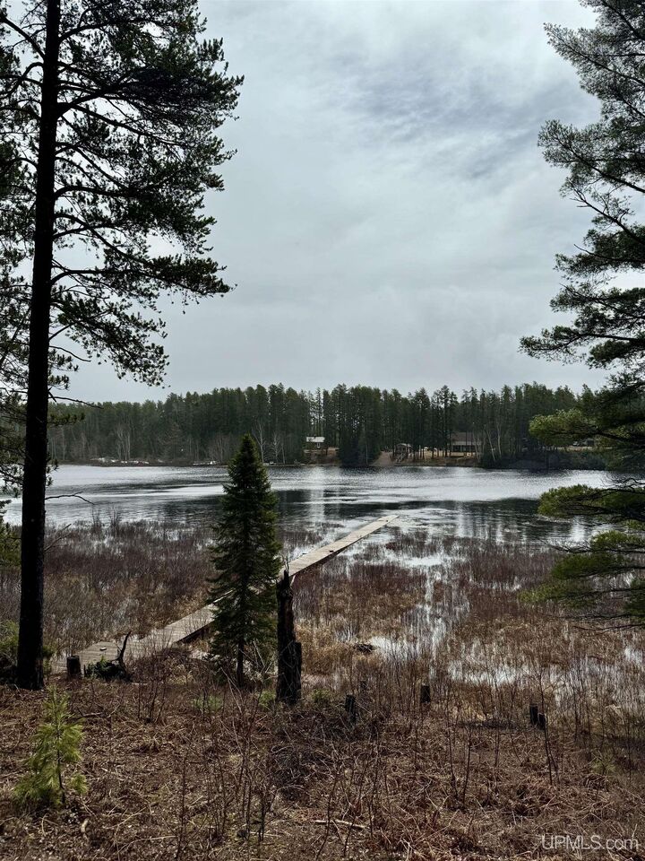 Property Photo:  61 Road One Road  MI 49849 