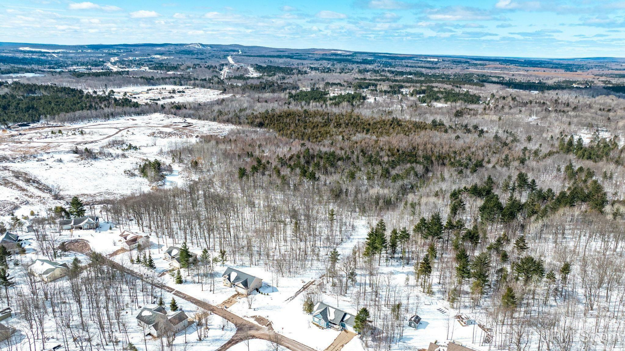 Property Photo: Tbd Oak Ridge (Off) Lane MI 49931