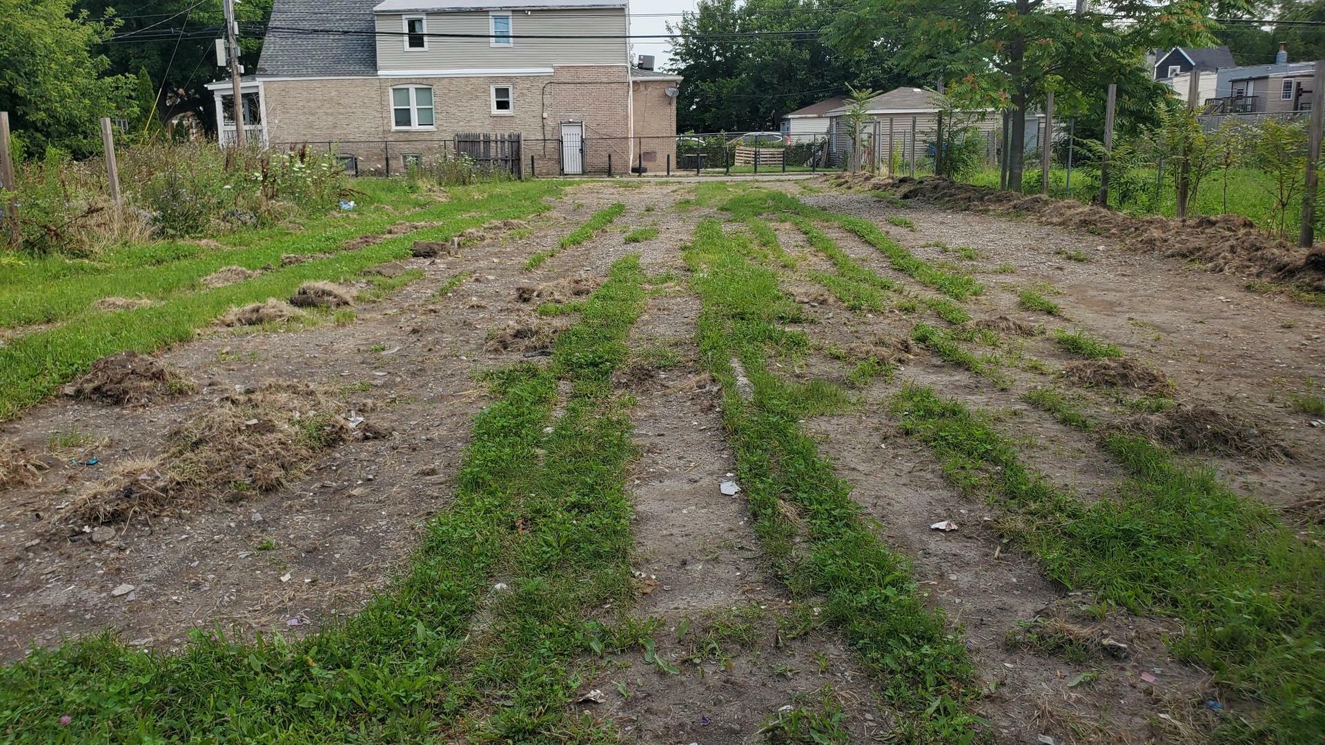 Property Photo:  3516 W Chicago Avenue  IL 60651 