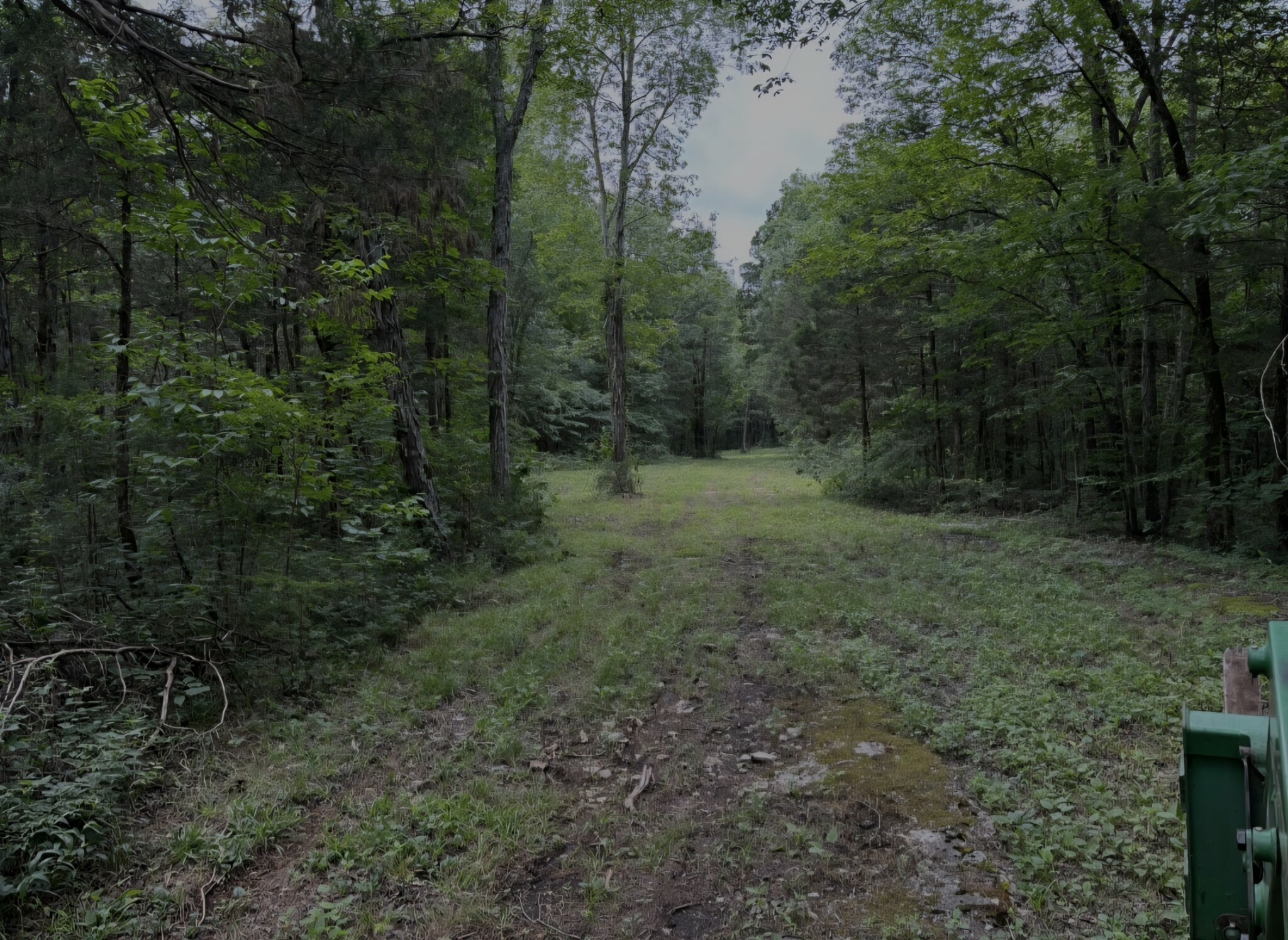 Property Photo: 2971 Ownby Rd TN 37091