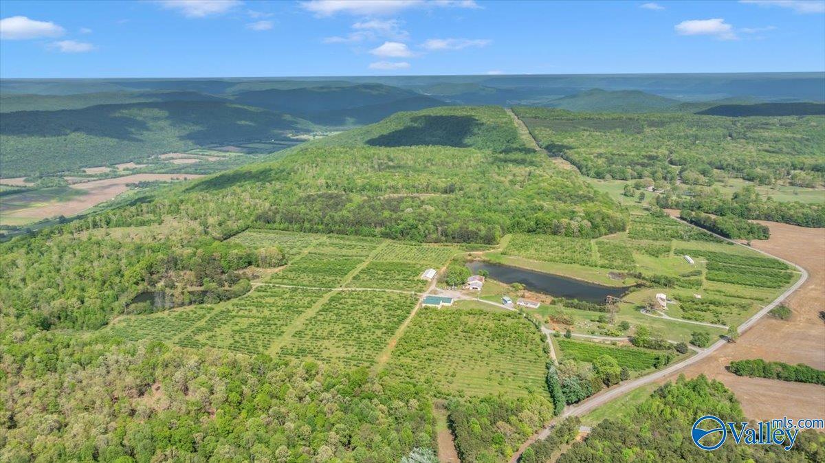Property Photo: 6236 County Road 39 AL 35746
