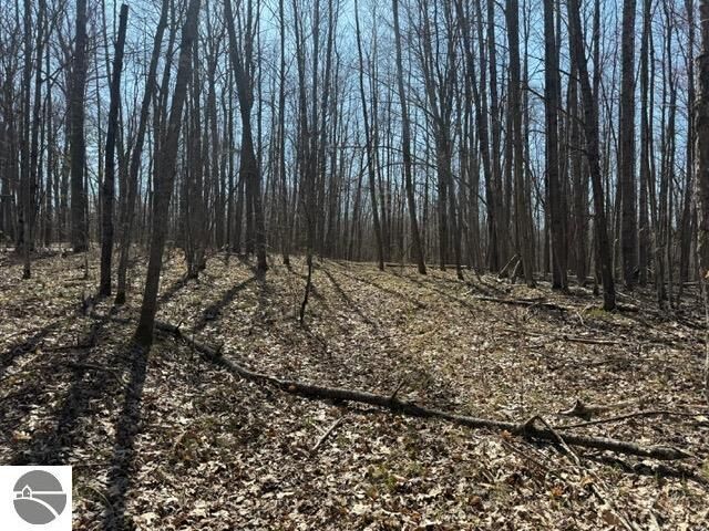 Property Photo:  Ticino Drive  MI 49677 