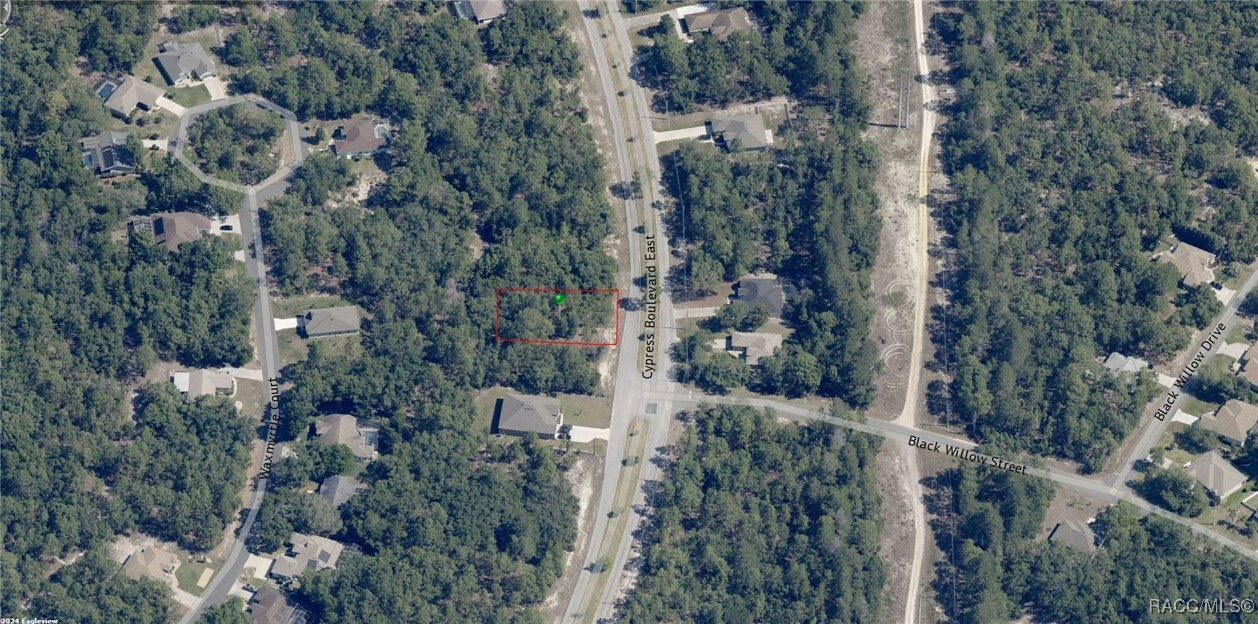 Property Photo:  115 Cypress Boulevard E  FL 34446 