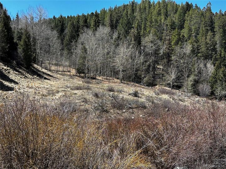 Property Photo:  Lot 223 Hwy 160  CO 81133 