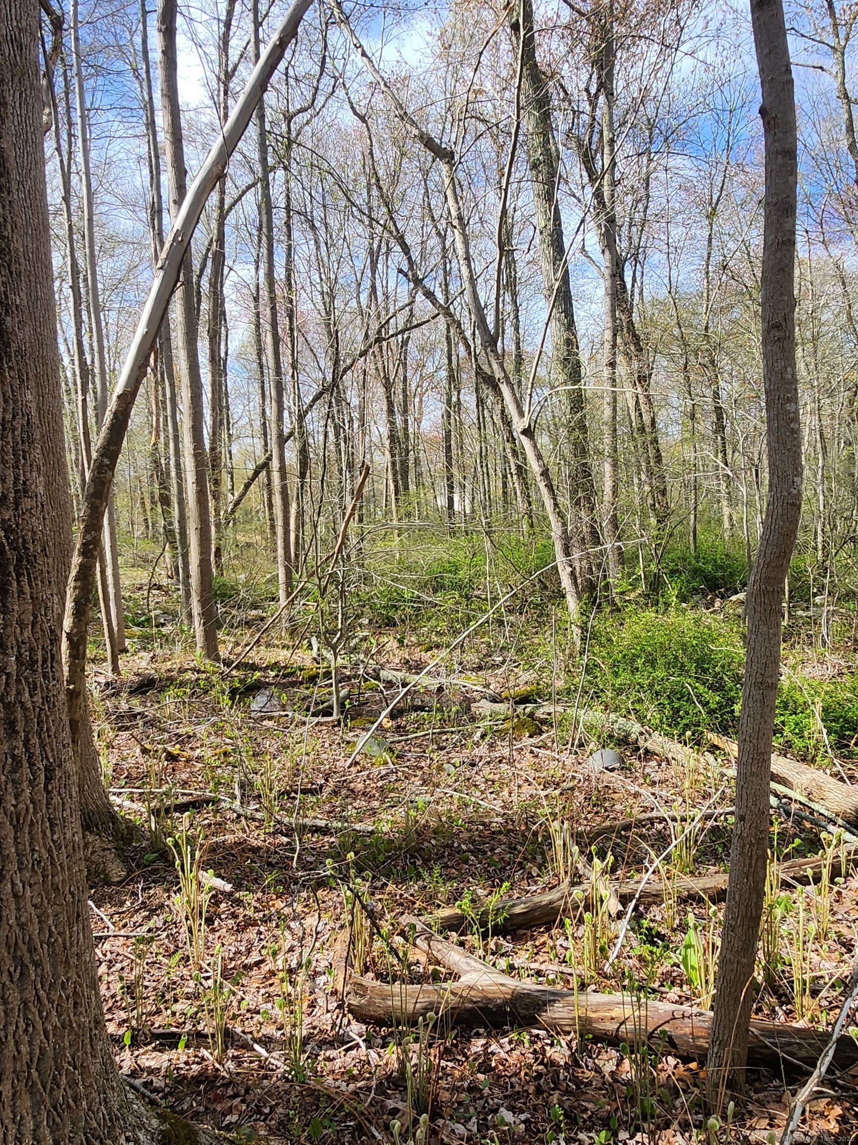 Property Photo: Westbrook Road CT 06417