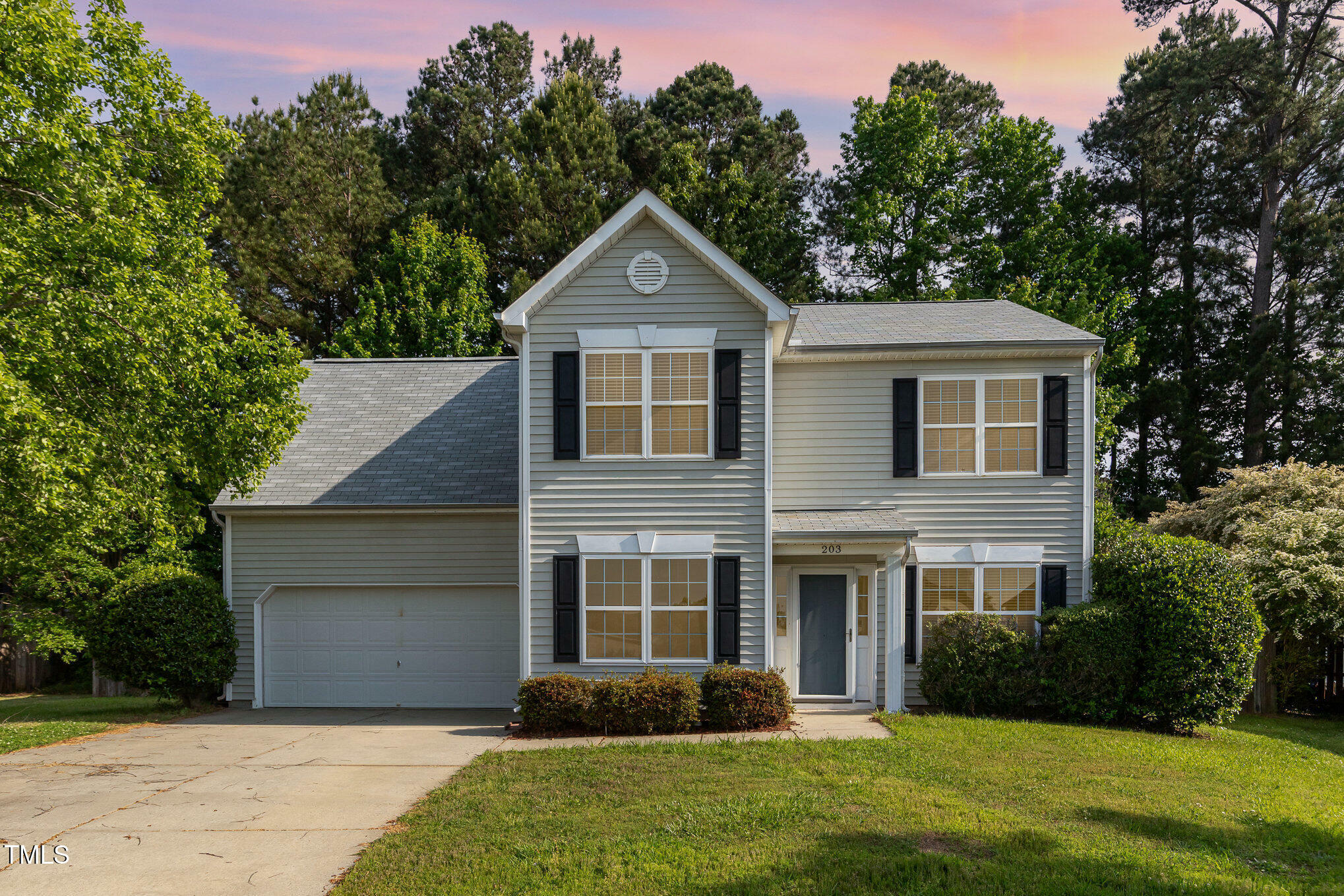 Property Photo: 203 Downing Bluff Drive NC 27560