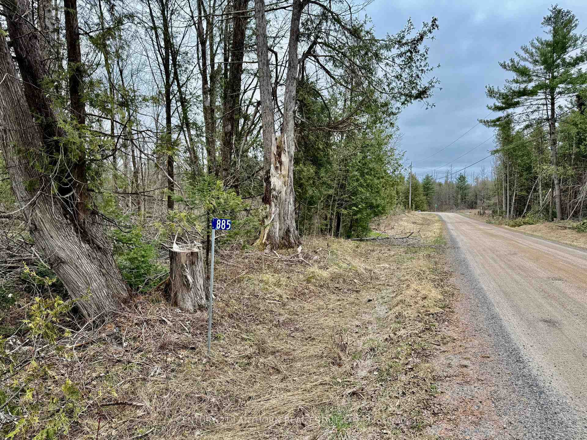 Property Photo:  885 Cleveland Road  ON K0K 1Y0 