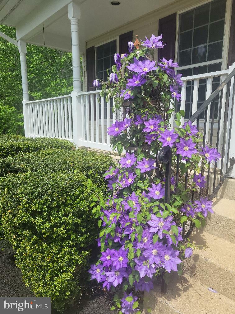 Property Photo: 10105 Cotter Court VA 22408