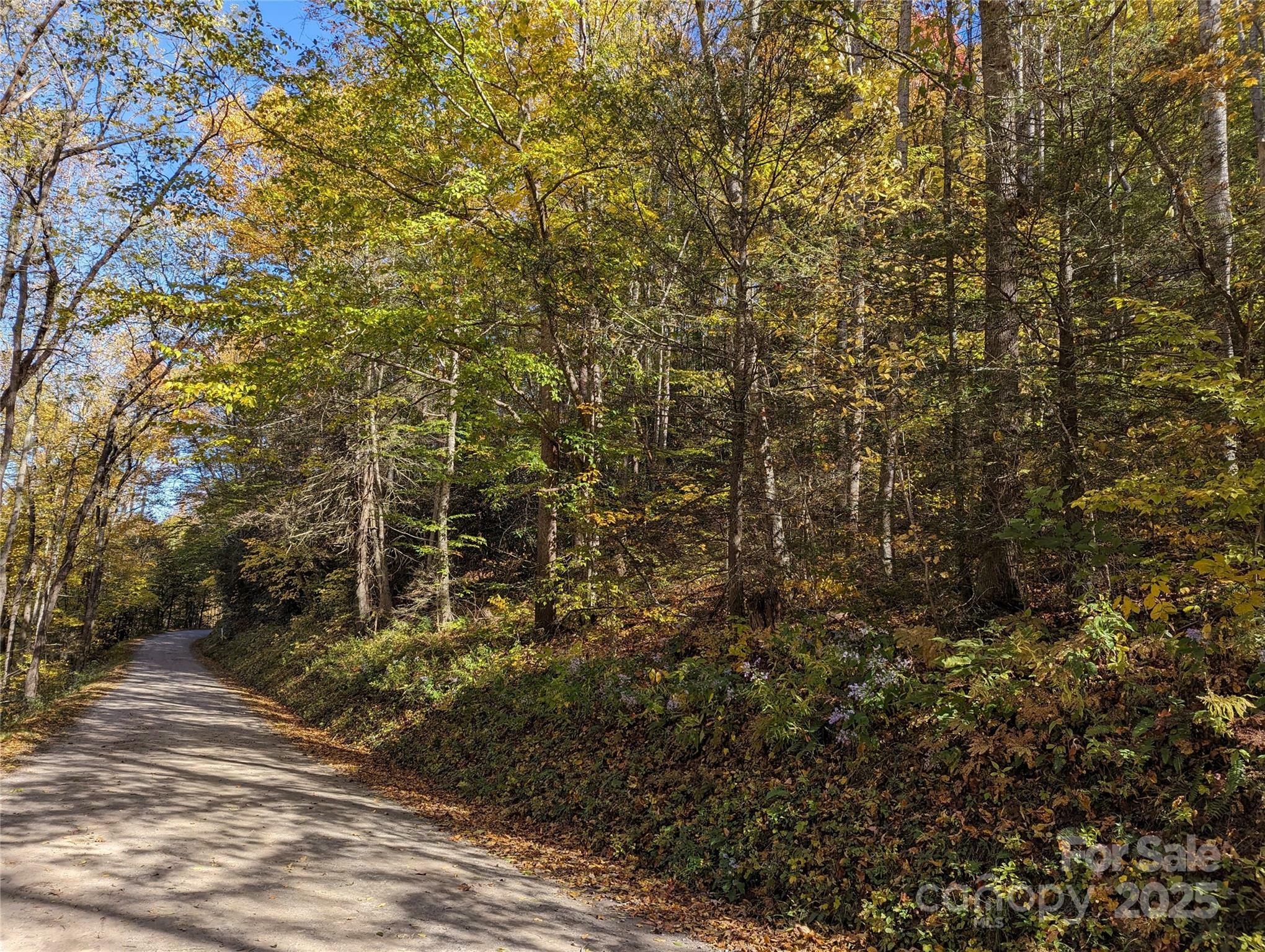 00 White Oak Road  Waynesville NC 28786 photo