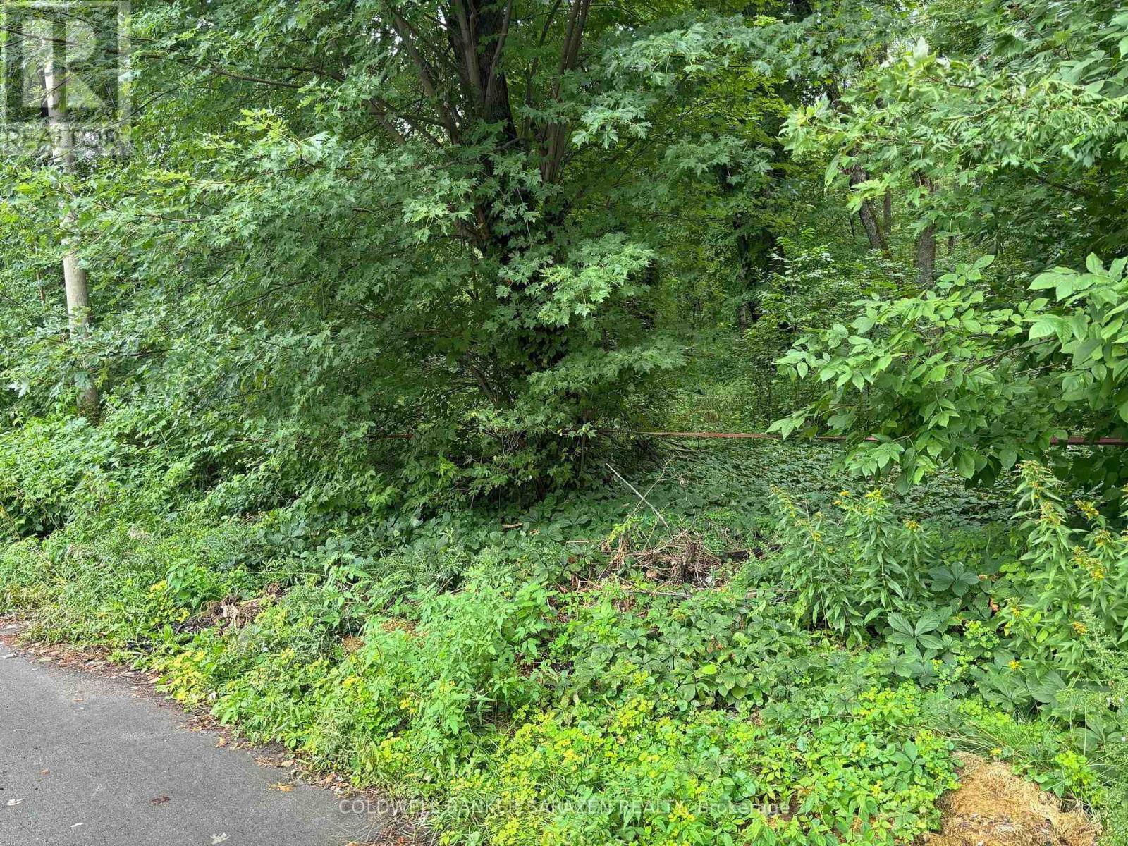 Property Photo: 101 Allbirch Road ON K0A 3M0
