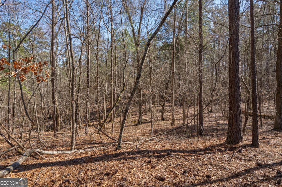 Property Photo: 0 Kent Rock Road GA 30052