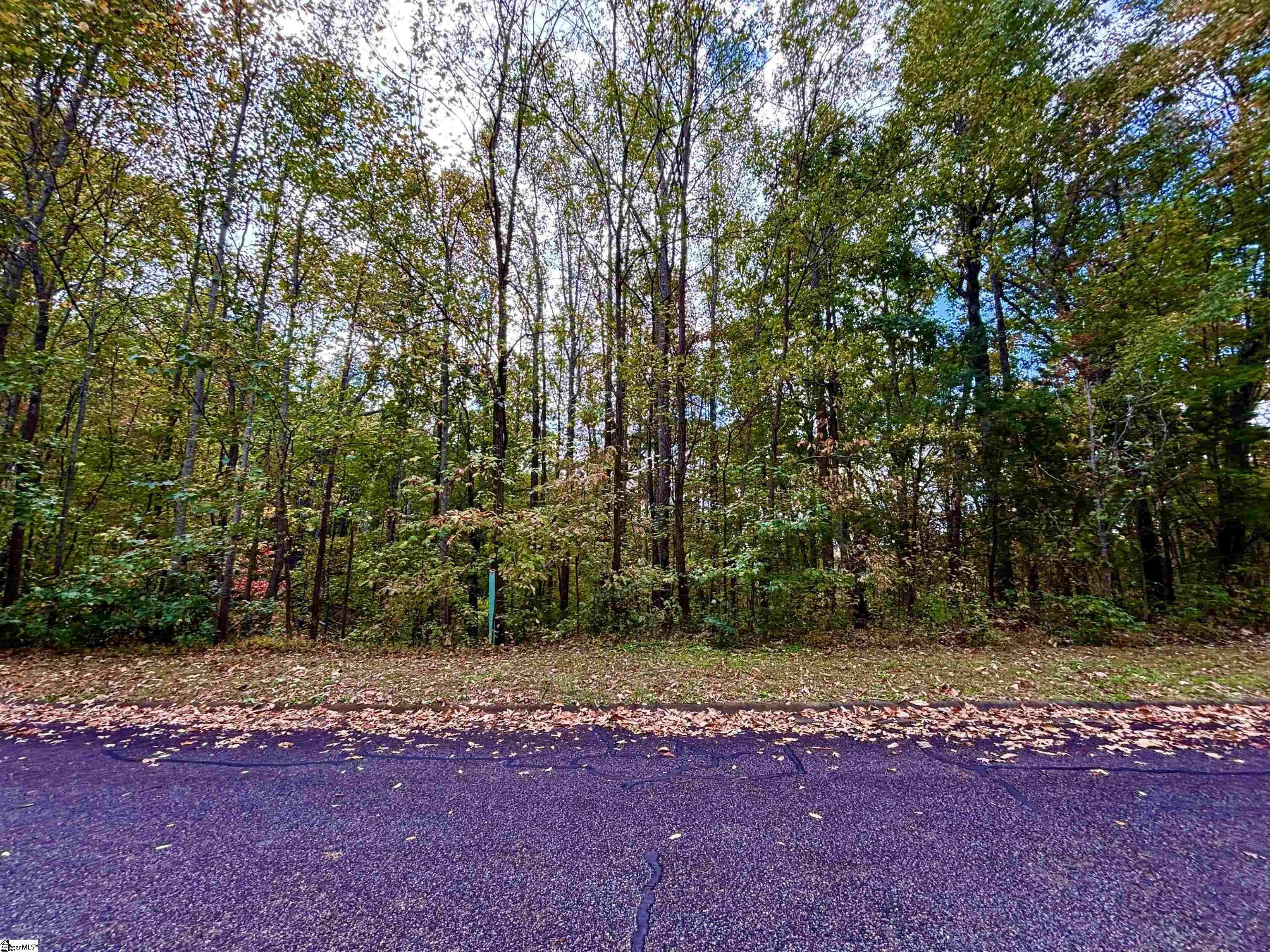 Property Photo: 313 Laurel Valley Way SC 29690