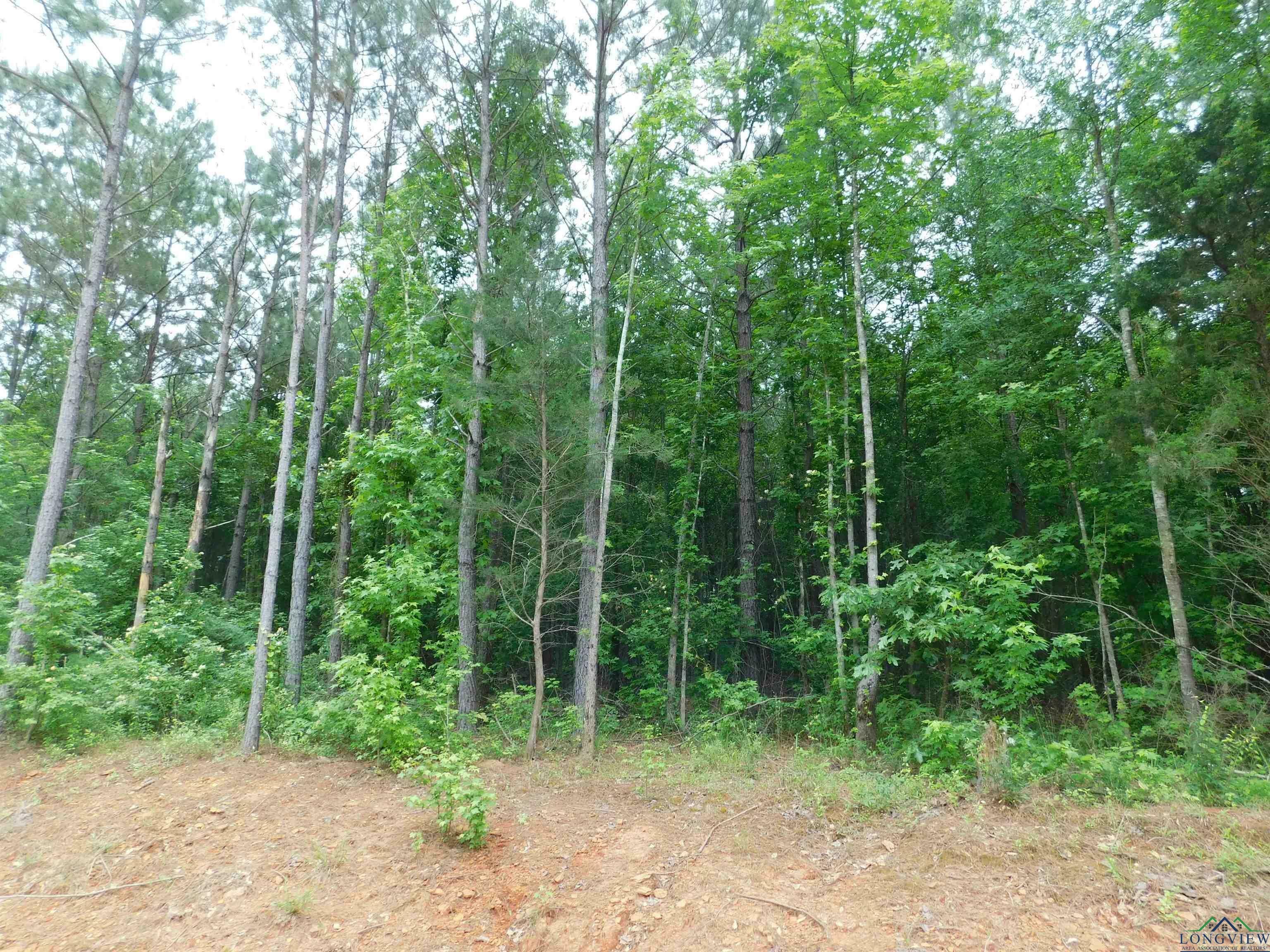 Property Photo: Tbd Megan Mills Rd TX 75644