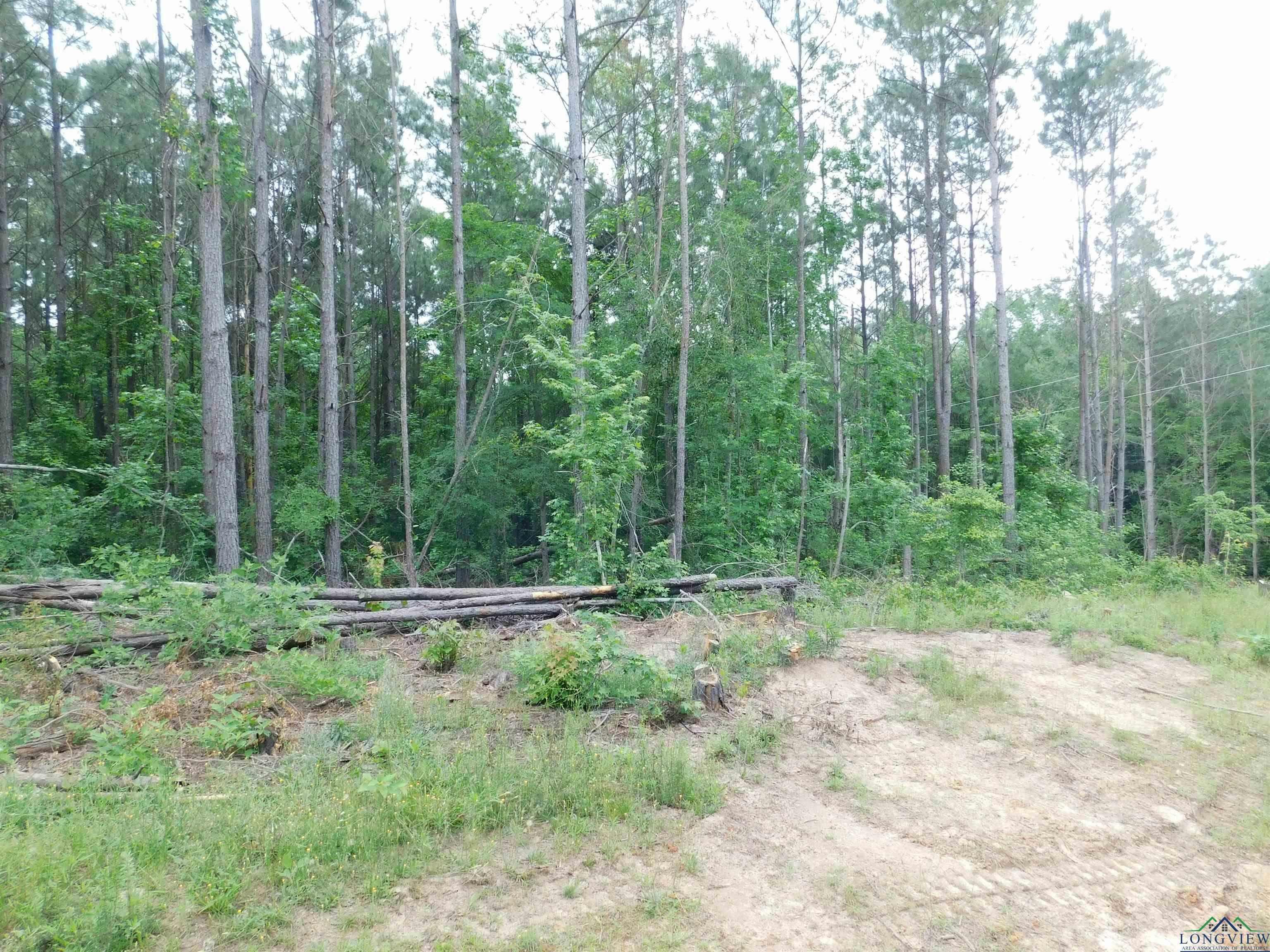 Property Photo: Tbd Megan Mills Rd TX 75644