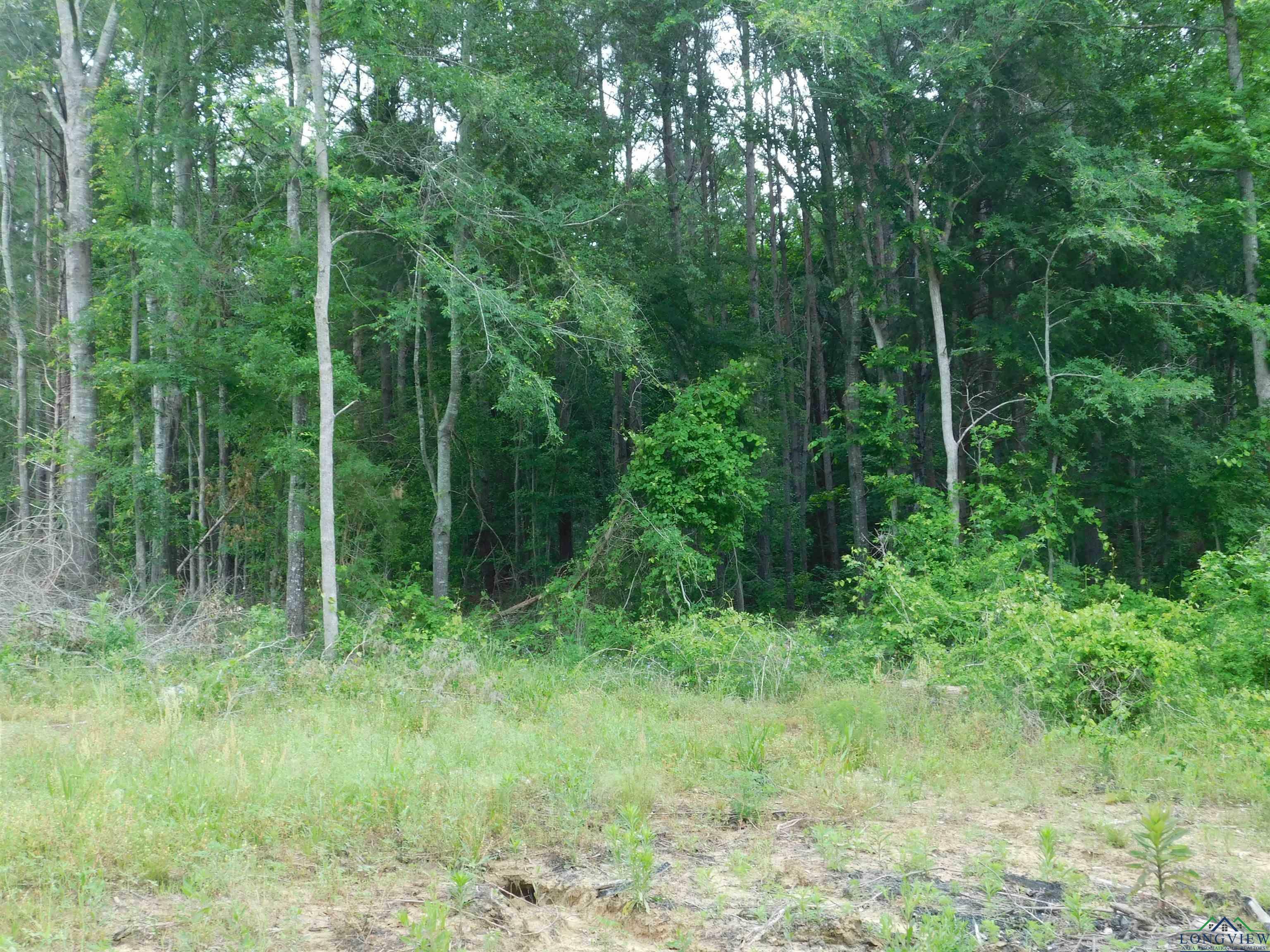 Property Photo: Tbd Groundhog Rd TX 75644