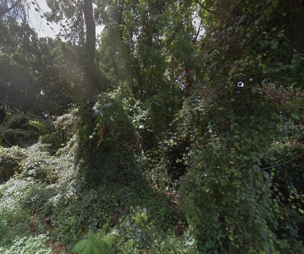 Property Photo: Lot 12 SE 126th Lane FL 34420