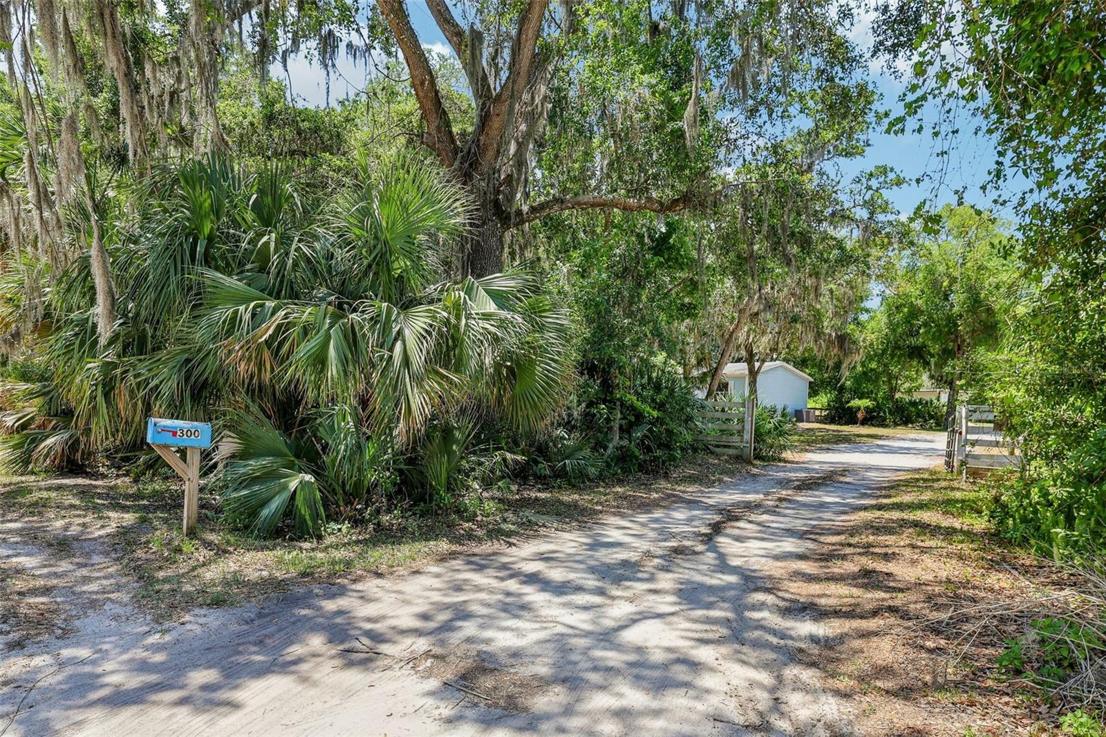 Property Photo: 300 Carol Ann Drive FL 32132
