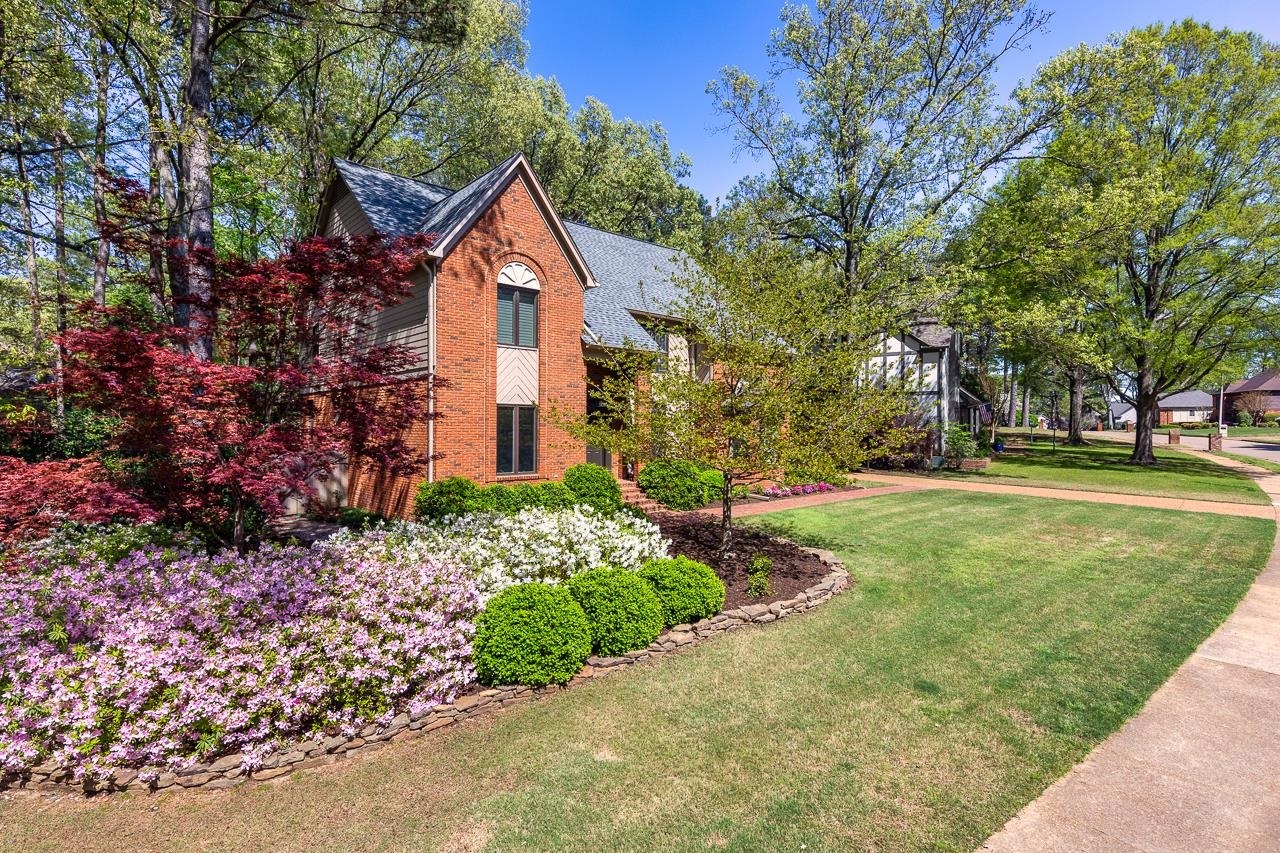 Property Photo: 8494 Woodlane Dr TN 38138