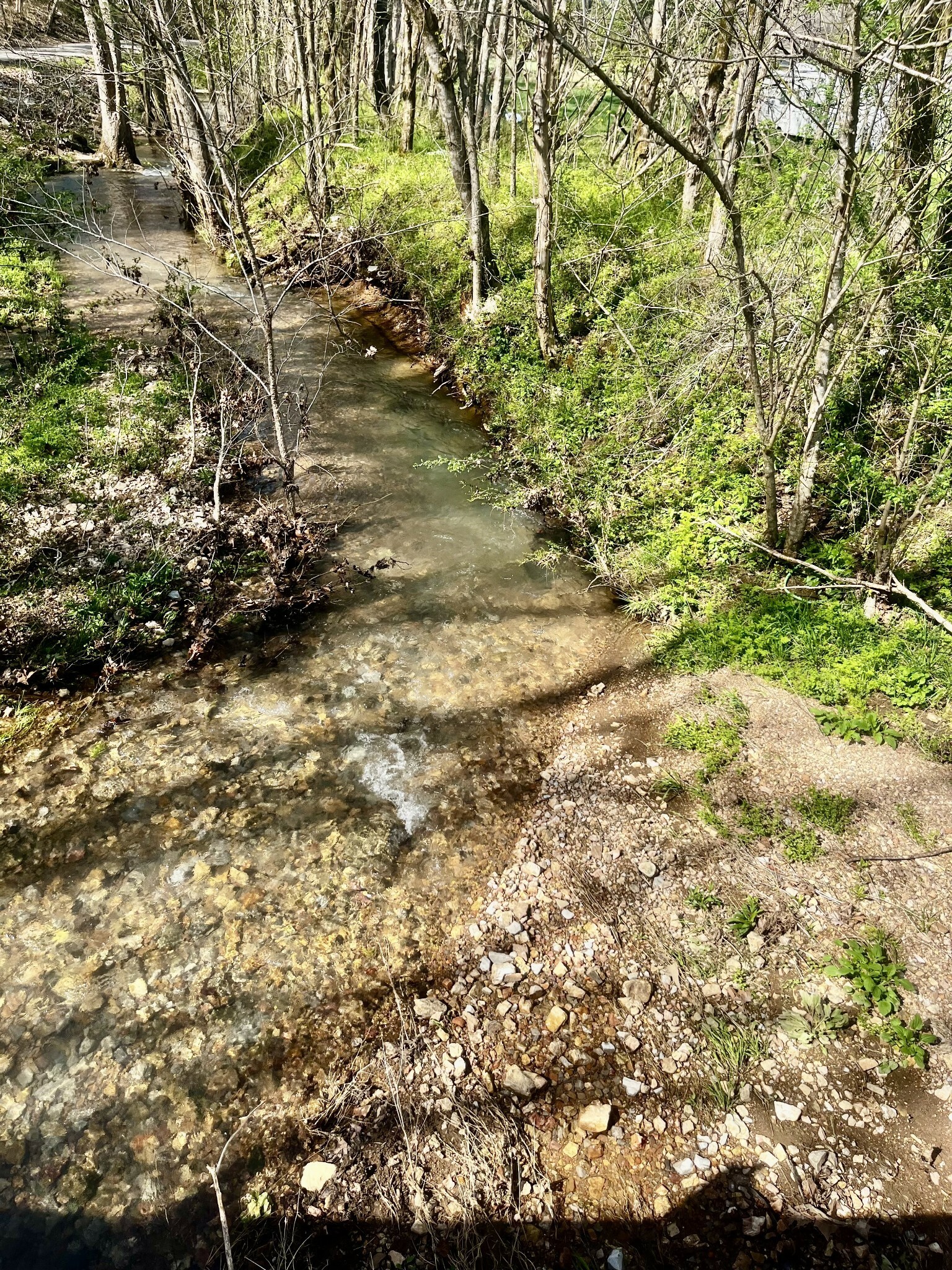 Property Photo: 21 Gilley Hill Rd TN 37026