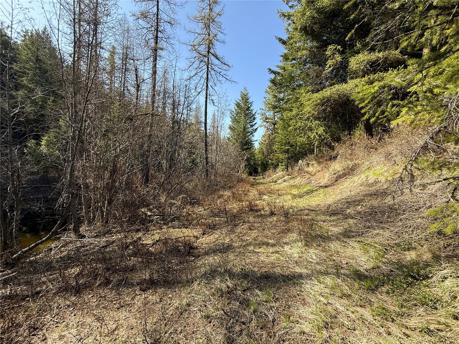 Property Photo: 0 Tbd Give Out Creek Road WA 98859