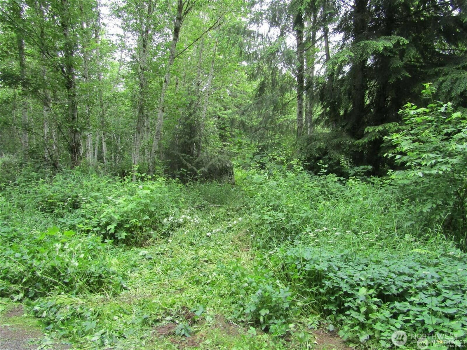 Property Photo: 0 Davis Lake Road WA 98356