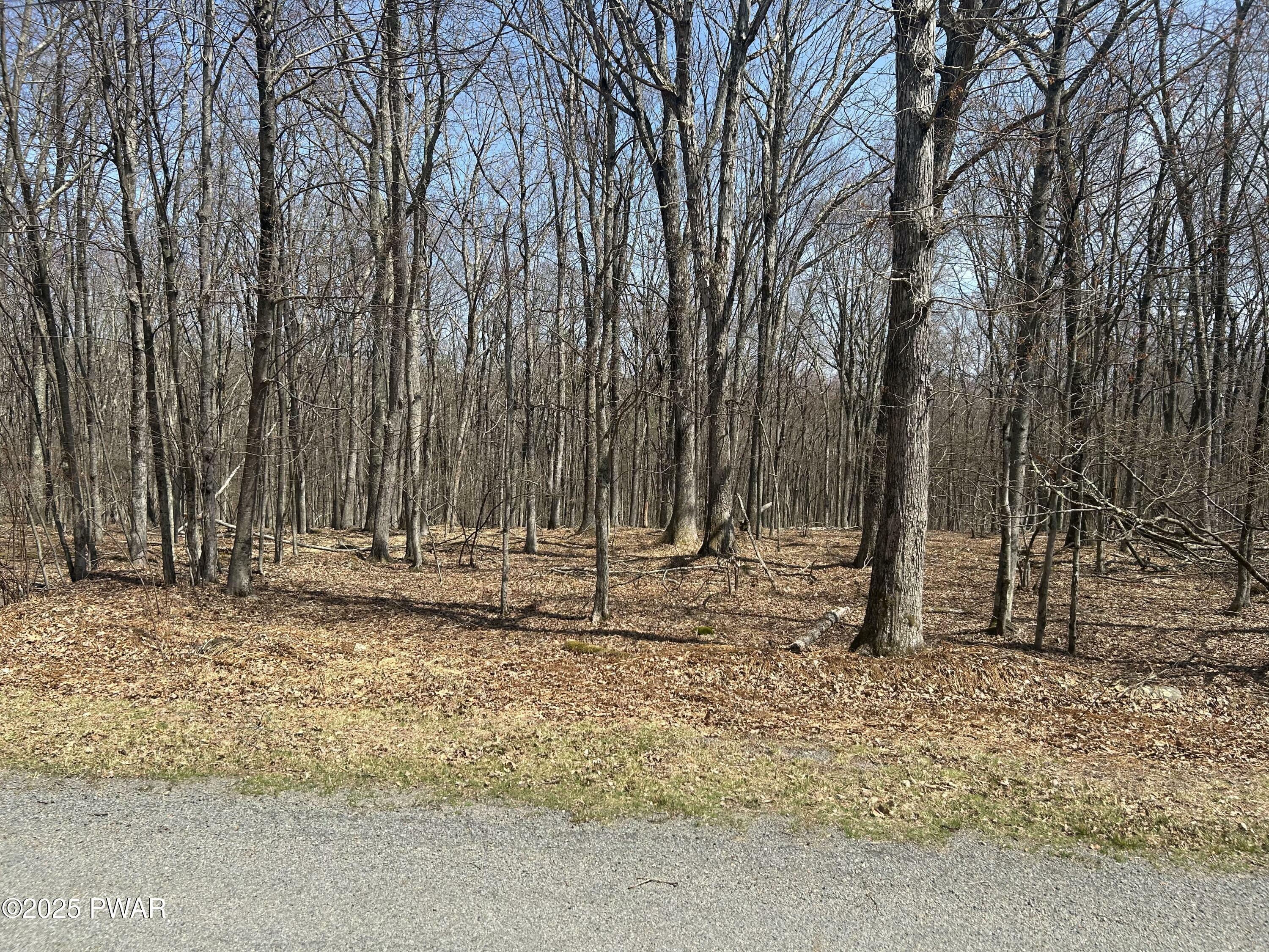 Property Photo: 139 Rim Rock Lane PA 18428