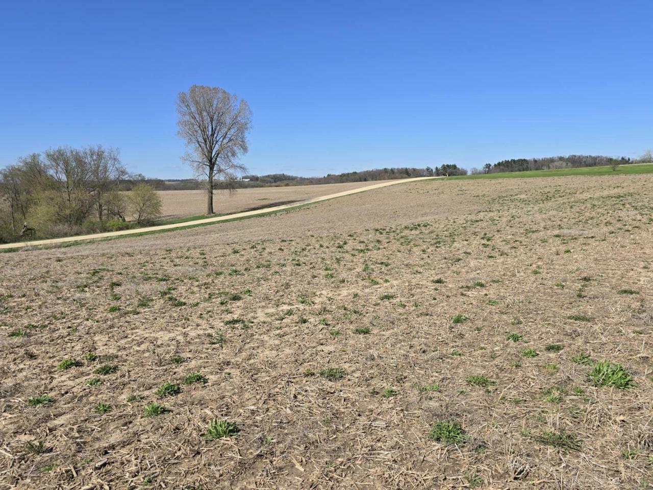 Property Photo: 17 Acres +/- Sherry Ridge Road WI 54655