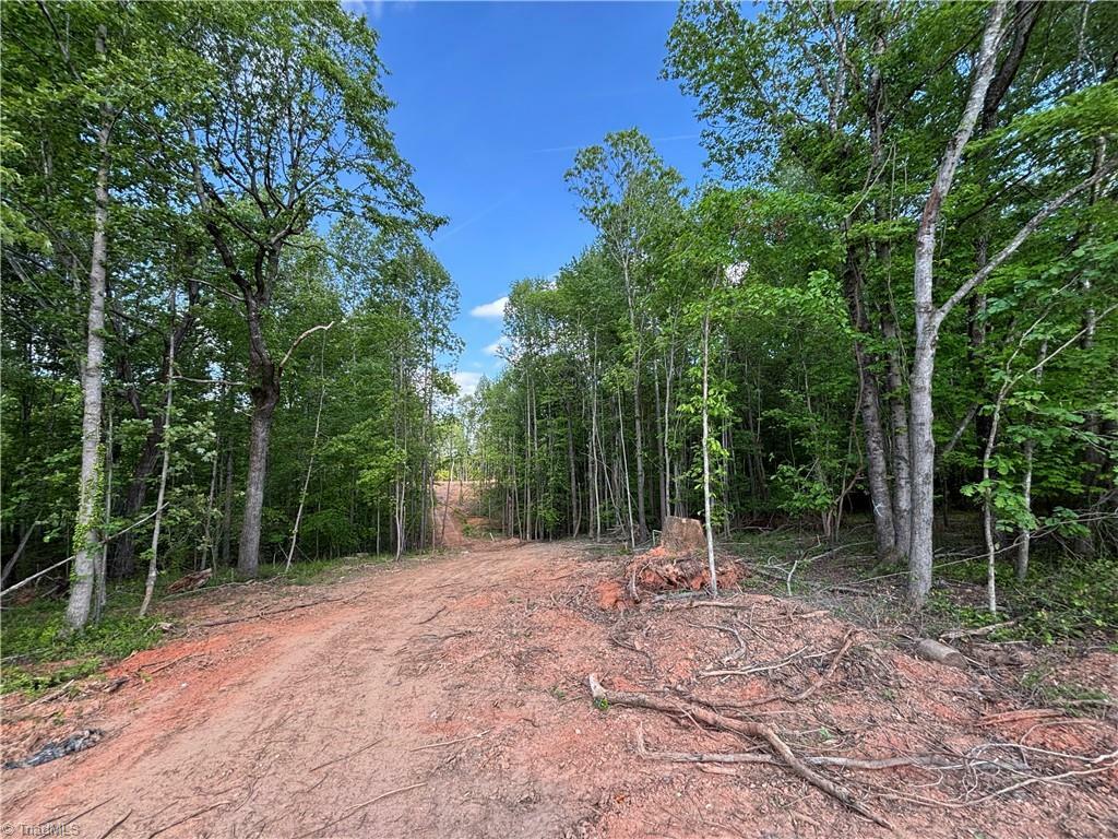 Property Photo: 00 Kirby Bowman Road NC 27047