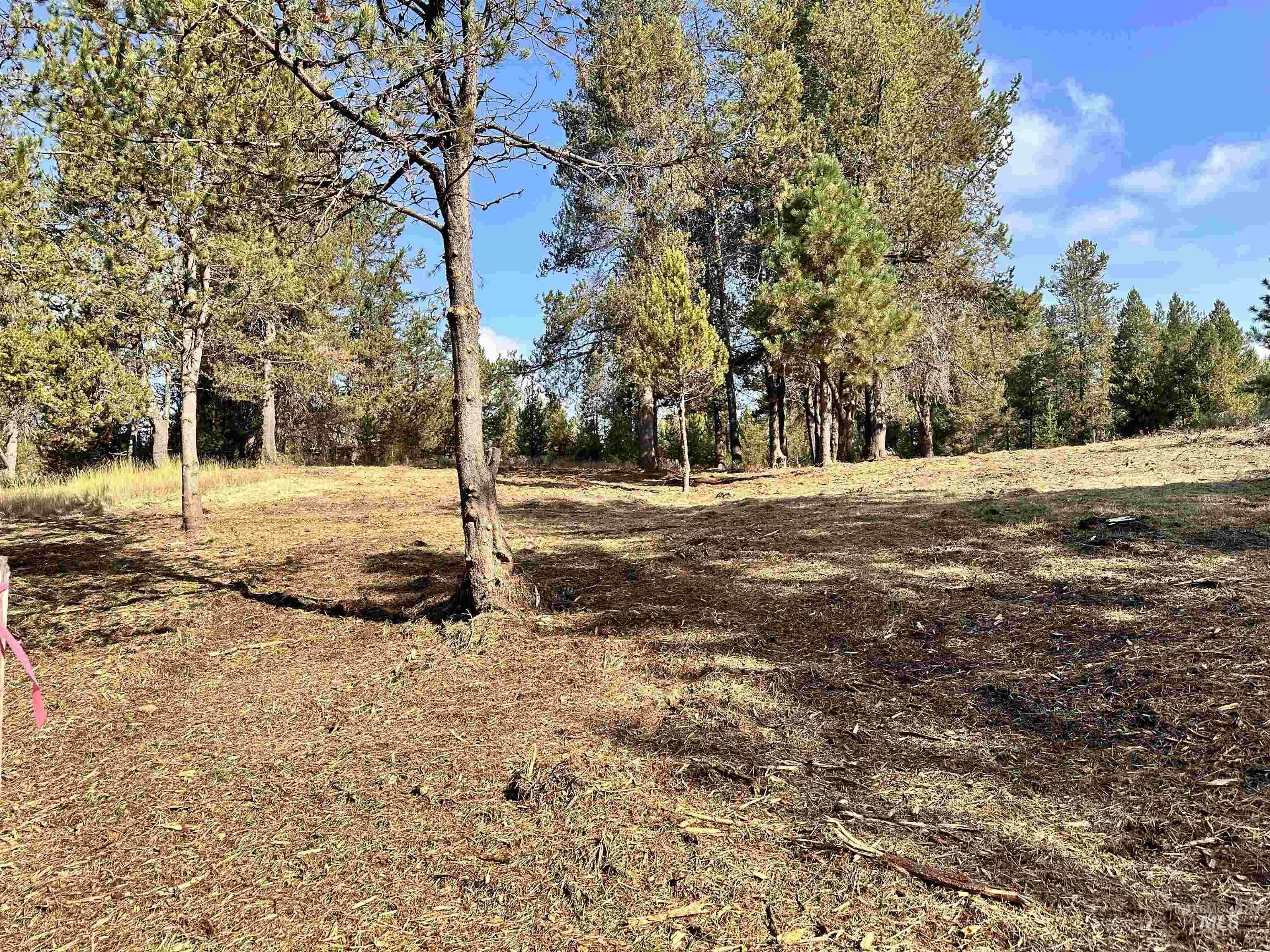 Property Photo: 433 Wilhelm Creek ID 83638
