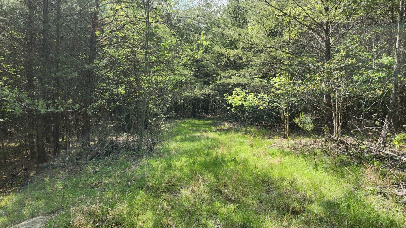 Property Photo: 0 Old Holy Water Road TN 37387