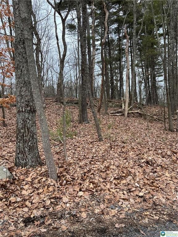 Property Photo:  339 Williamson Drive  PA 18301 