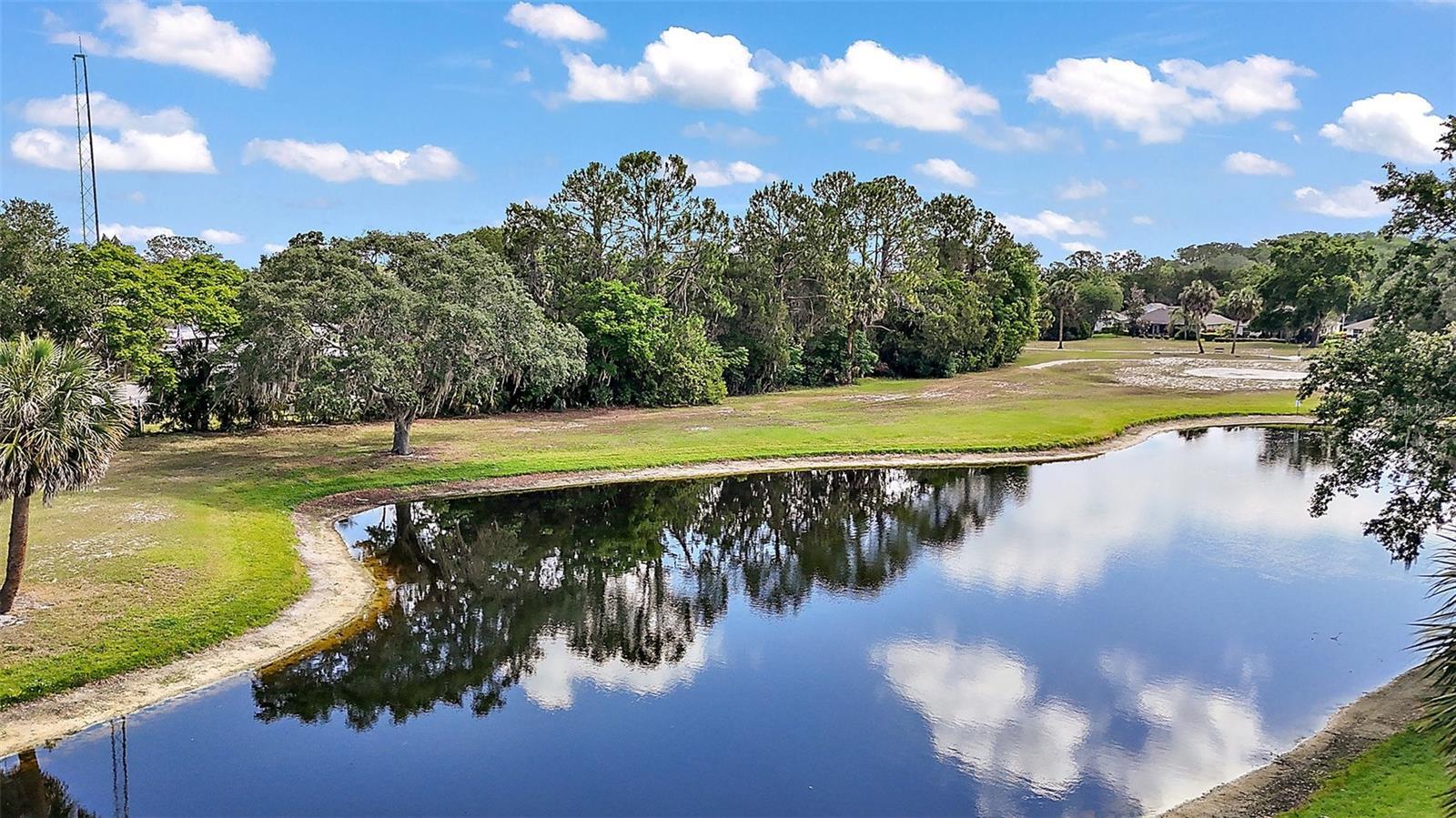 Property Photo: 579 Juniper Way FL 32778