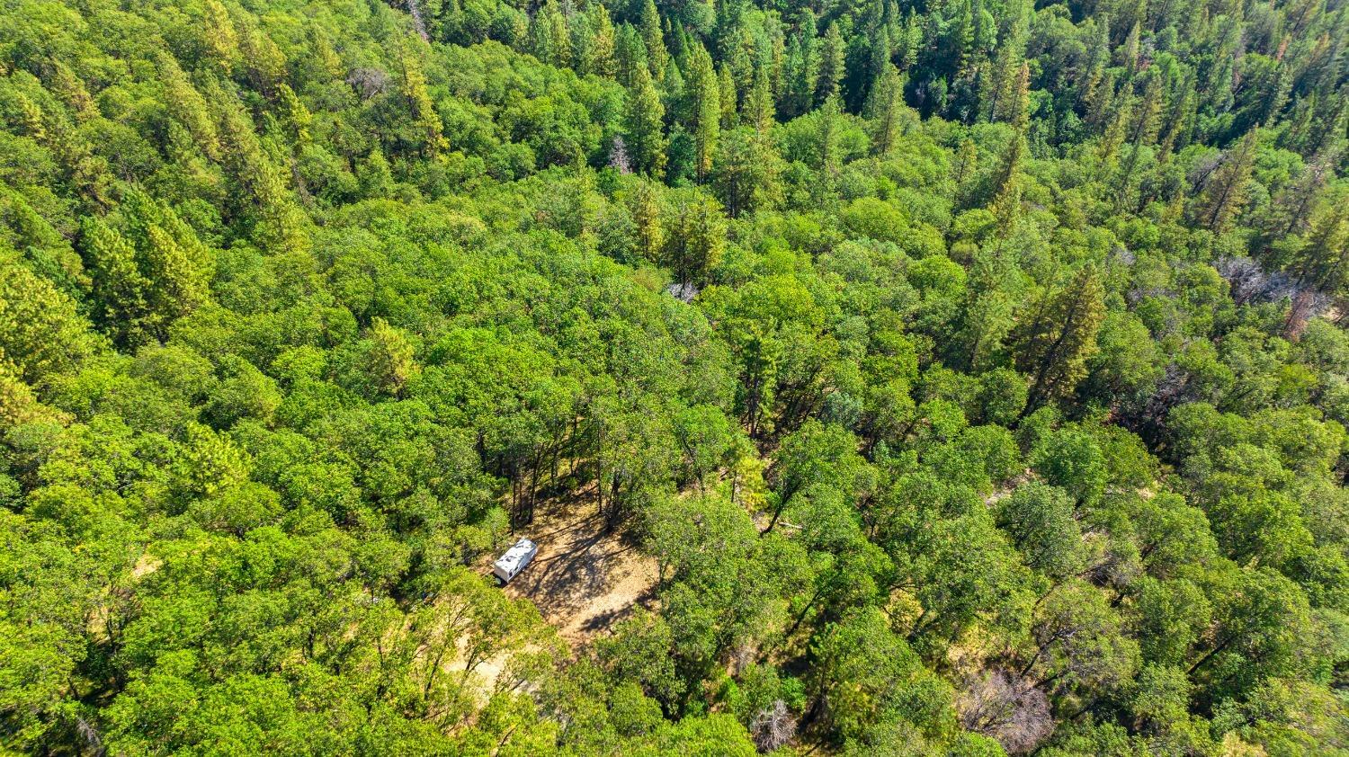 Property Photo: 20866 Kuntz Court CA 95959